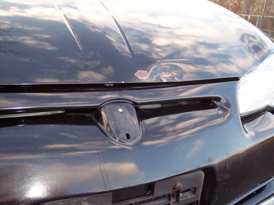 Black car hood emblem with rust spots on hood
