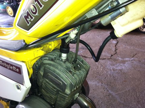 1981 Garelli Rally Sport - Close-up of a yellow moped engine, showing the spark plug and "Mobylette" branding on the side.