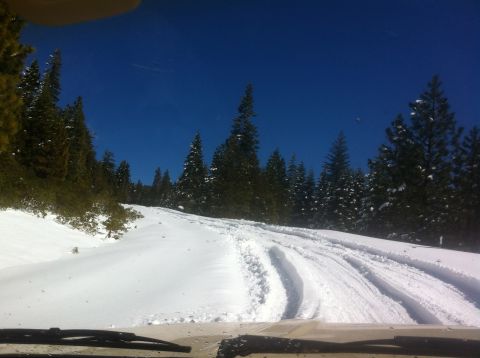1989 Ford Bronco - Tire tracks mark a path through the snow on a clear day in a wooded area.