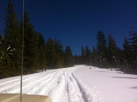 1989 Ford Bronco - A vehicle navigates a snow-covered road surrounded by pine trees under a clear blue sky.