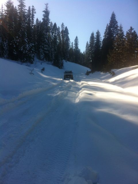 1989 Ford Bronco - SUV navigates a snowy path surrounded by pine trees.