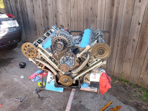 2003 Ford Crown Victoria - Detailed view of dual overhead cam timing gears and chains on a V6 engine, car partially visible at left.