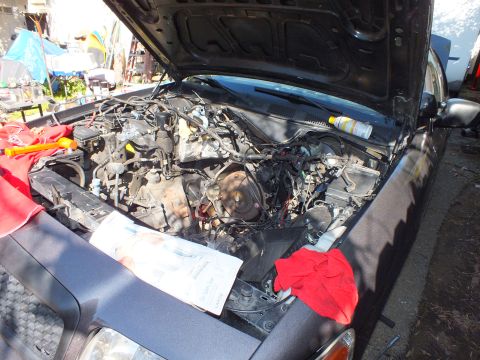 2003 Ford Crown Victoria - Stripped engine bay showing exposed block and harness, paperwork and red rag laid over the fender.