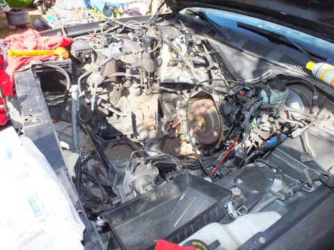 2003 Ford Crown Victoria - Engine compartment mid-removal showing bellhousing and disconnected lines over a covered fender.