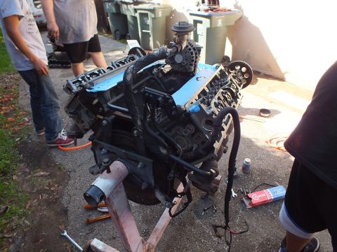 2003 Ford Crown Victoria - removed V8 engine with timing chain and valve covers off sits on a stand near green trash bins.