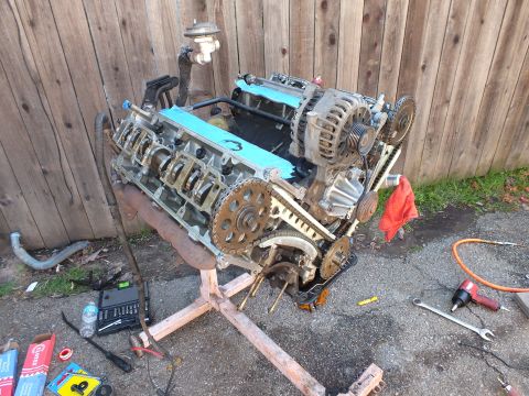 2003 Ford Crown Victoria - V8 engine on a stand with timing chains and cam sprockets exposed, tools spread on the pavement.