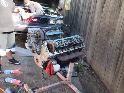 2003 Ford Crown Victoria - Disassembled V8 on a stand by a wood fence; a gray Ford sedan with CA plate sits behind.