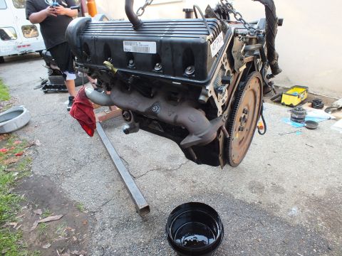 2003 Ford Crown Victoria - Side view of a removed engine on a chain hoist, valve cover and exhaust manifold facing camera over a black drain pan.
