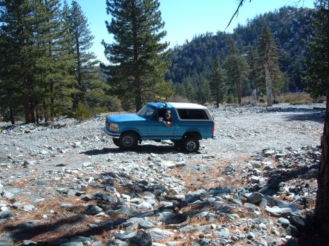 1988 Ford Bronco - A blue SUV navigates a rough, rocky path through a pine forest with a mountainous backdrop.