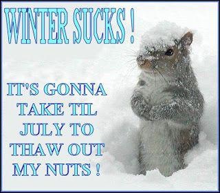 1988 Ford Bronco - A squirrel sits in the snow, looking cold and miserable, with a humorous message about winter.
