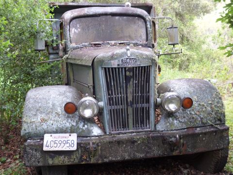 1991 Ford Bronco - This White Super Power truck, seen from the front, is heavily weathered and overgrown with moss and lichen.