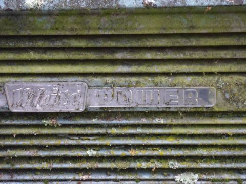 1991 Ford Bronco - The "White POWER" emblem is visible on a heavily weathered grille, covered in moss and lichen.