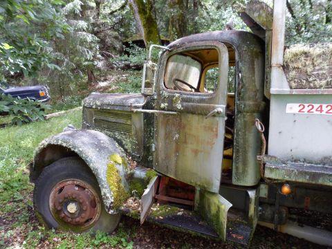 1991 Ford Bronco - An old, moss-covered truck sits abandoned in a wooded area, with its door ajar and a number visible on its side.