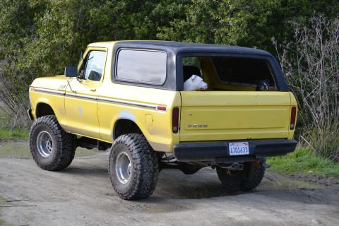 1978 Ford Bronco - This lifted 1978 Ford Bronco, seen from the rear, features a black hardtop and two dogs riding in the cargo area.