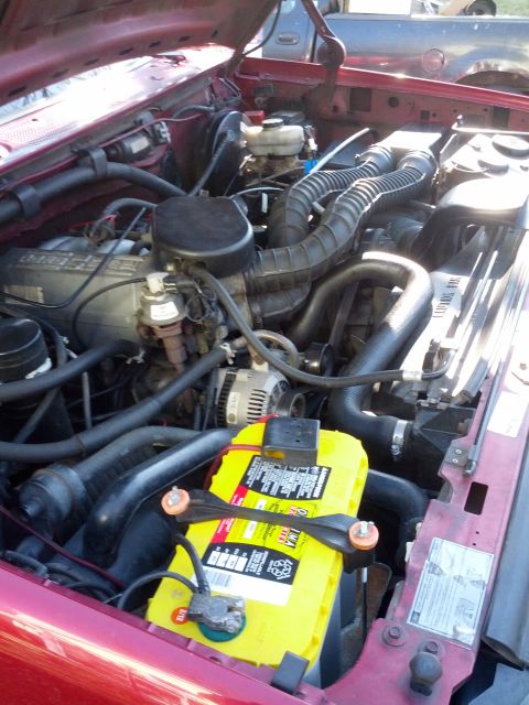 1995 Ford Bronco “Julz”
