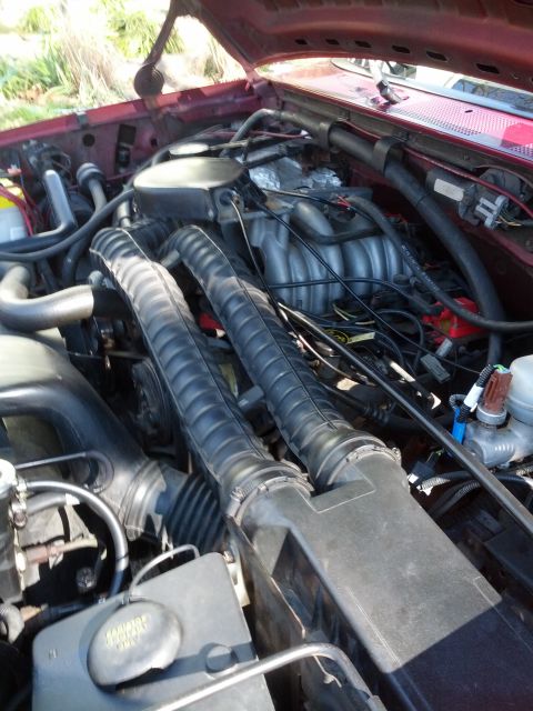 1995 Ford Bronco - Before cleaning and cold air intake