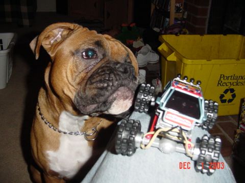 1989 Ford Bronco - Cash inspecting