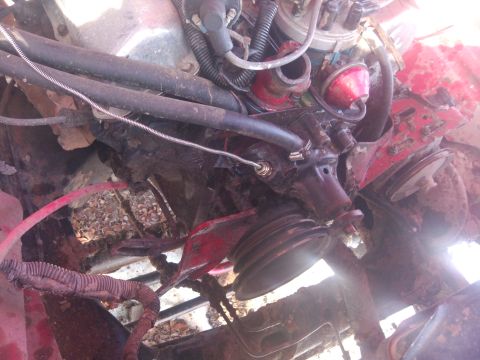 1979 Ford Bronco - Close-up view of engine components including distributor, hoses, and pulleys.