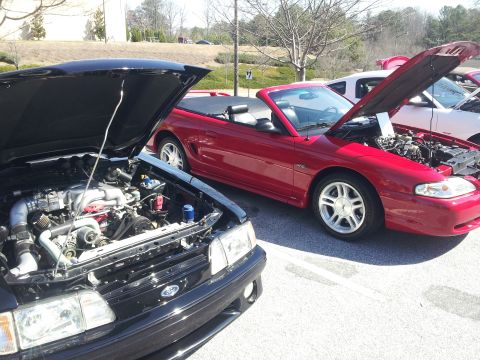 1965 Ford Mustang - Two Ford Mustangs are parked with their hoods up, displaying their engines in an outdoor setting.