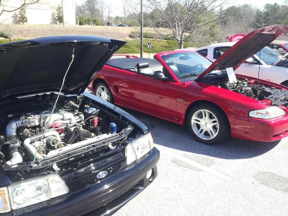 Black and red Ford Mustangs parked side-by-side, both with hoods open showing their engines