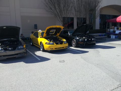 1965 Ford Mustang - Three Ford Mustangs are displayed with their hoods open, showing off their engines in a parking lot.