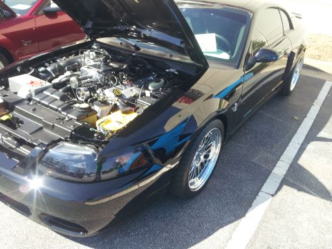 1965 Ford Mustang - Black Ford Mustang with hood open, parked next to a red Mustang.