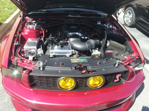 1965 Ford Mustang - The engine bay of a red Ford Mustang is displayed with the hood up, revealing custom modifications and a prominent Cobra emblem.