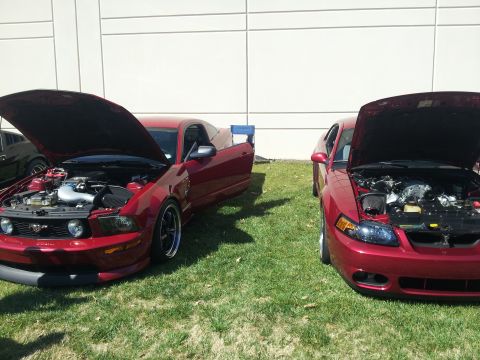1965 Ford Mustang - Two red Ford Mustangs are displayed with their hoods open, revealing their engines.