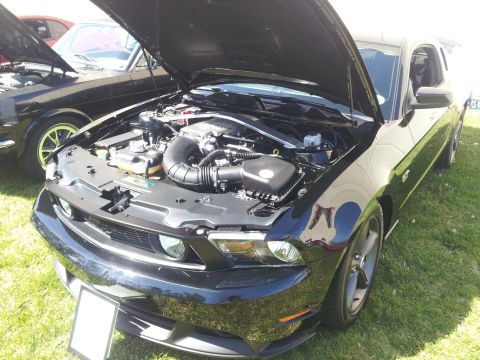 1965 Ford Mustang - A modern Ford Mustang is displayed with its hood up, parked on grass next to a vintage vehicle.