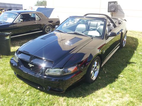 1965 Ford Mustang - Black convertible sports car with hood scoops and chrome wheels is parked on grass next to a black coupe.