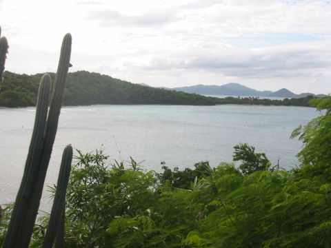 1992 Ford Bronco - Tropical bay scene with cacti and trees in the foreground, islands in the distance.