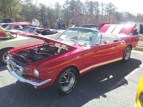 mustangs