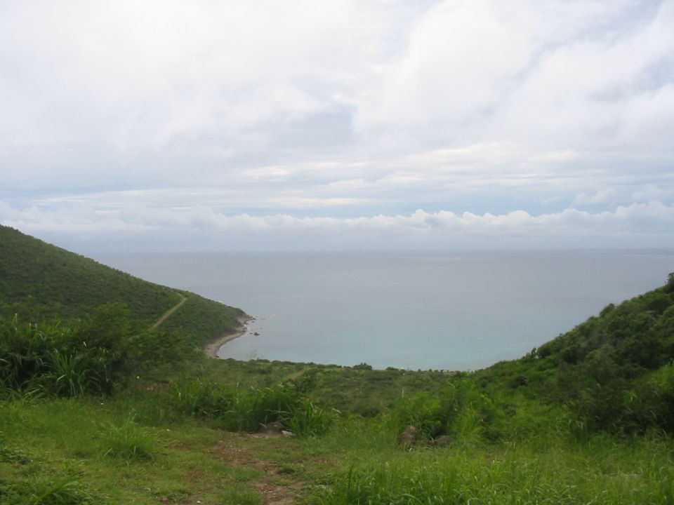 Coastal landscape with ocean and green hills
