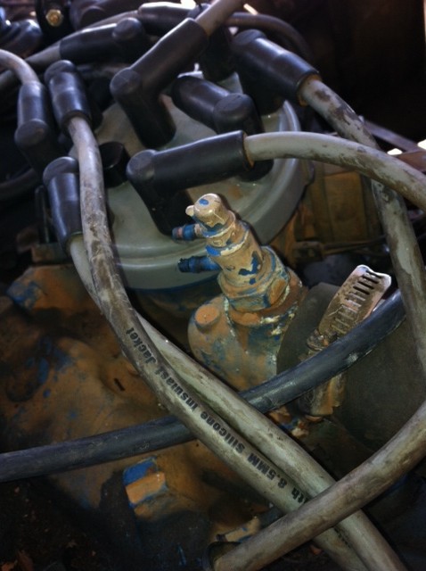 1977 Ford F-350 - Engine distributor and spark plug wires are visible in this close-up view. Some hoses are also present.