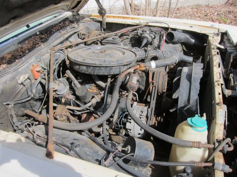 1991 Ford LTD Crown Victoria - The engine bay of a vehicle, showing the V8 engine components and radiator fan.