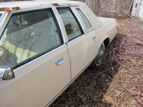 1991 Ford LTD Crown Victoria - A tan sedan with a vinyl roof sits in overgrown brush, showing rust around the windows.
