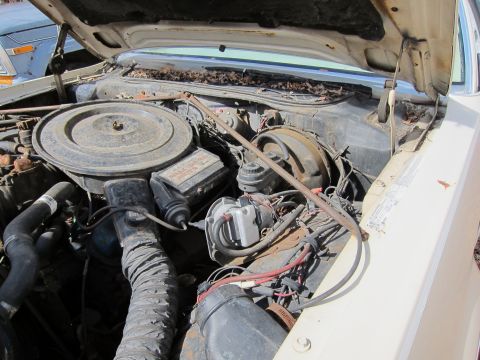 1991 Ford LTD Crown Victoria - The engine bay of a cream-colored car shows various components under the hood.