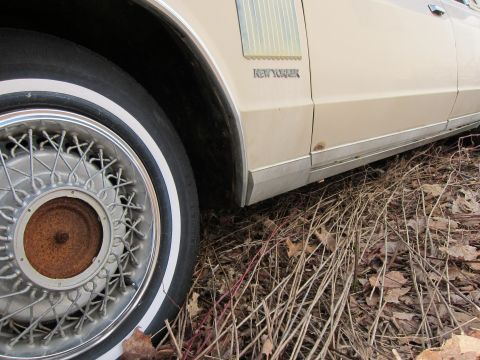 1991 Ford LTD Crown Victoria - Side view of a tan car a wire wheel and 'New Yorker' badging, partially obscured by dry brush.
