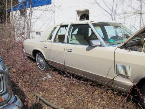 1991 Ford LTD Crown Victoria - A tan sedan sits abandoned, partially obscured by thorny bushes, with its hood open to reveal the engine.