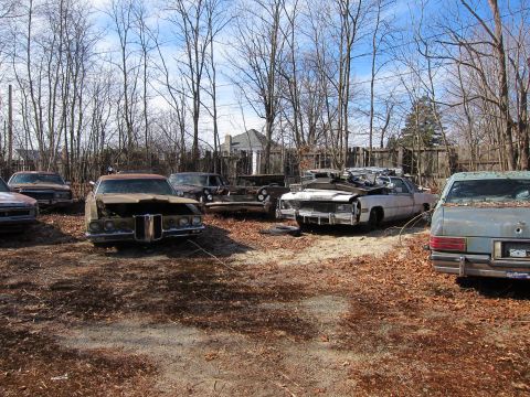 1991 Ford LTD Crown Victoria - A collection of weathered vehicles sits in a yard under a clear sky, with bare trees surrounding the area.