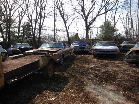 1991 Ford LTD Crown Victoria - Several abandoned vehicles are visible in a junkyard setting with trees overhead.