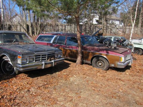 1991 Ford LTD Crown Victoria - A collection of aging vehicles sits in a yard, surrounded by fallen leaves and trees.