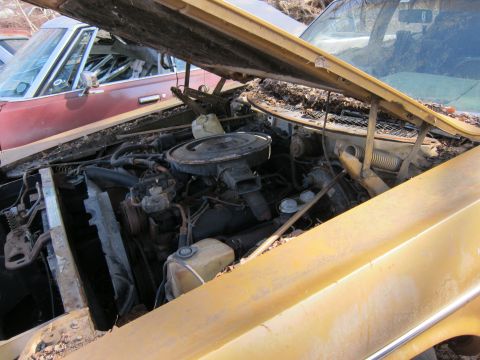 1991 Ford LTD Crown Victoria - Engine bay of a yellow car in a junkyard, with another vehicle partially visible.