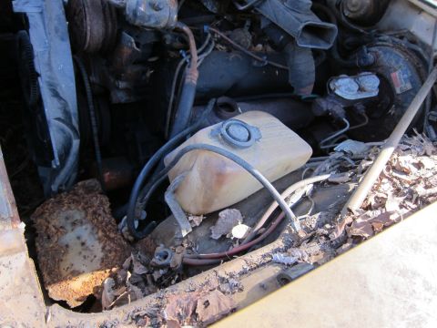 1991 Ford LTD Crown Victoria - Close-up of a neglected engine bay, showing rust and debris.