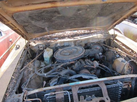 1991 Ford LTD Crown Victoria - The engine compartment of an old car is filled with debris, obscuring many of its components.