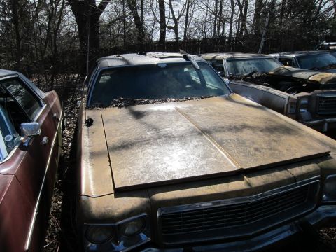 1991 Ford LTD Crown Victoria - This weathered sedan, likely from the 1970s, sits in a junkyard with leaves covering its hood.