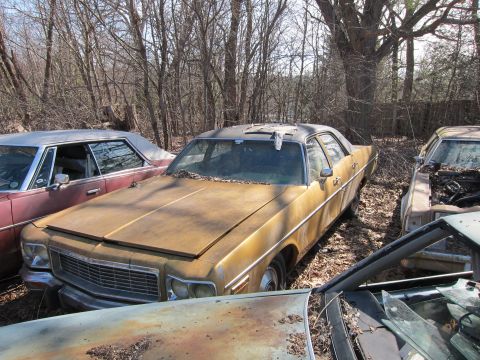 1991 Ford LTD Crown Victoria - A weathered yellow sedan sits in a junkyard, surrounded by other vehicles and trees.