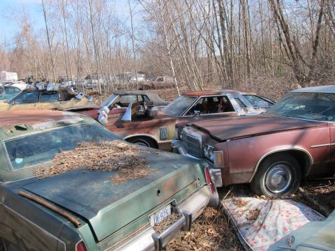 1991 Ford LTD Crown Victoria - Junkyard scene with multiple abandoned vehicles under trees.