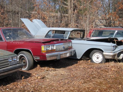 1991 Ford LTD Crown Victoria - A collection of old cars sits in a junkyard, with the hoods of several vehicles open.