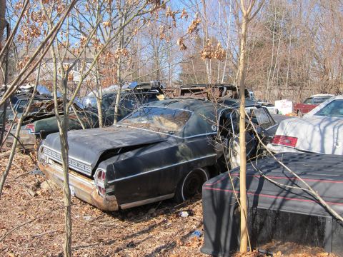 1991 Ford LTD Crown Victoria - A black sedan, likely from the late 1960s, sits in a junkyard surrounded by trees and other vehicles.